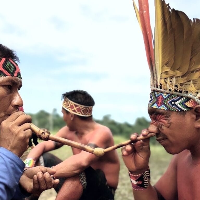 hape plant medicine amazon, amazonian hapé benefits, hapé spiritual practices, indigenous medicine hapé, hapé for meditation, hapé healing properties, hapé blends explained, how to use hapé, kuripe and tepi pipes, amazonian snuff rituals, hapé sinus health, natural remedies amazon, hapé spiritual growth, traditional hapé tribes, amazonian rituals hapé, hapé personal experiences, hapé meditation benefits, hapé preparation rituals, hapé holistic medicine, hapé applicators guide, hapé health benefits, hapé stress relief, hapé anxiety remedy, amazonian healing plants, hapé cultural significance, hapé spiritual awakening, hapé emotional balance, amazon plant medicine hapé, hapé traditions explained, hapé cleansing rituals, amazonian tribes hapé, hapé mindfulness tool, hapé organic tobacco, hapé sacred medicine, amazonian spiritual practices, hapé ancestral wisdom, hapé for healers, hapé spiritual connection, hapé meditative tool, hapé cleansing effects, hapé preparation methods, amazon healing practices, hapé ceremonial use, hapé immune support, hapé and spiritual ceremonies, hapé holistic wellness, hapé plant connection, hapé self-administration tips, hapé for grounding.