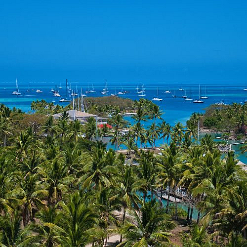savusavu fiji
