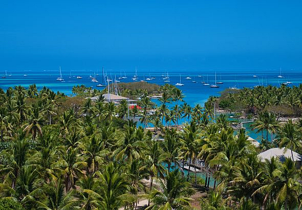 savusavu fiji
