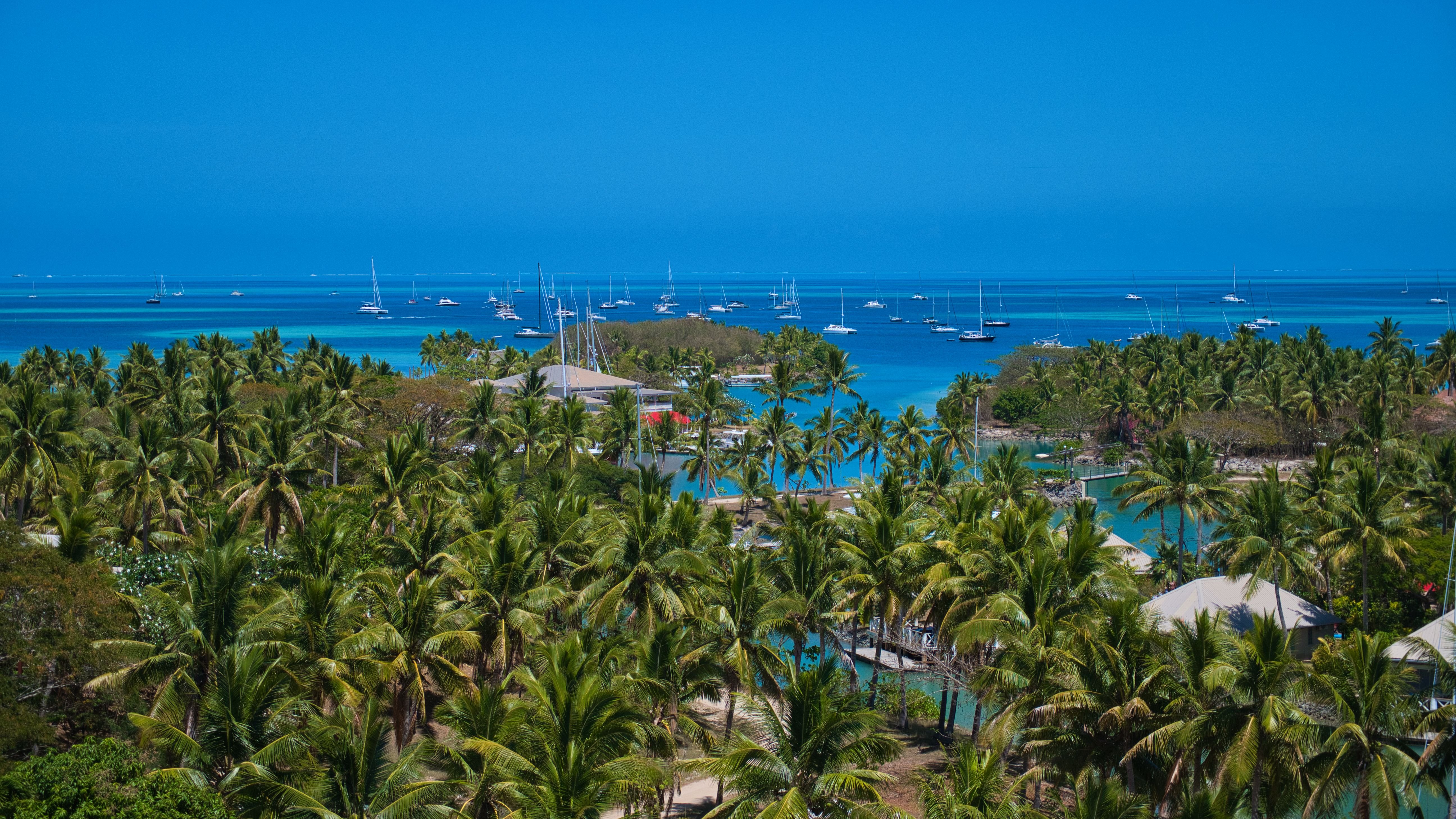 savusavu fiji