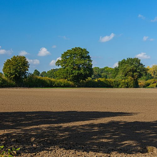 Raw Land Buying Mistake
