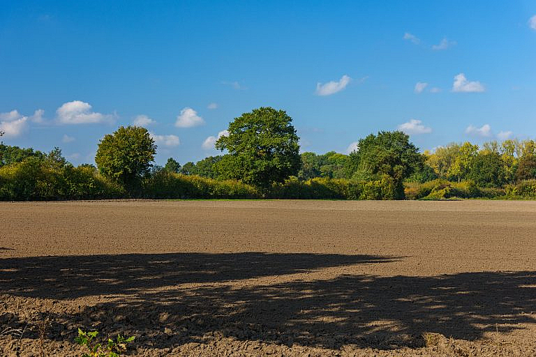 Raw Land Buying Mistake: 5 Costly Traps to Avoid 5 Raw Land Buying Mistake