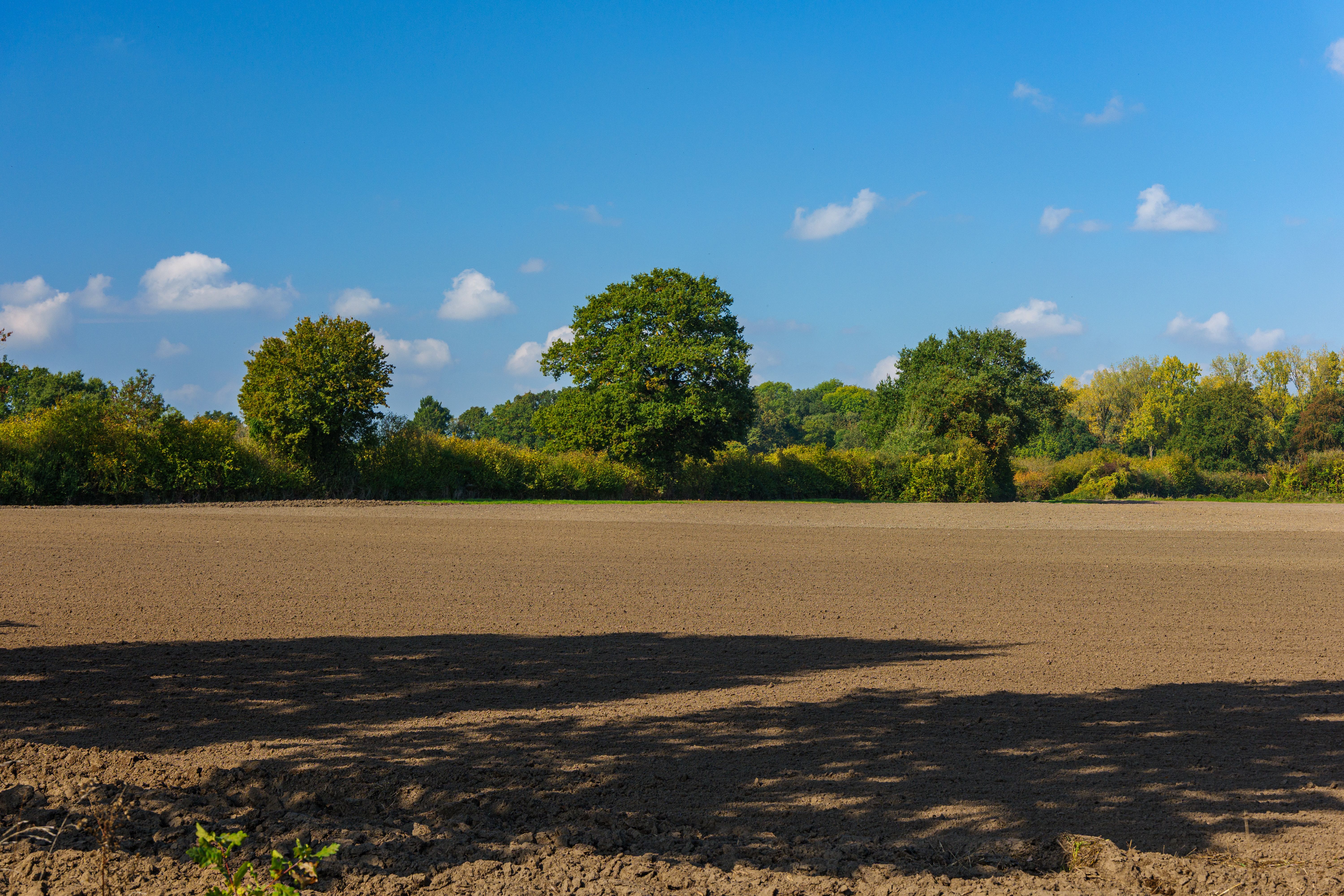 Raw Land Buying Mistake: 5 Costly Traps to Avoid 1 Raw Land Buying Mistake